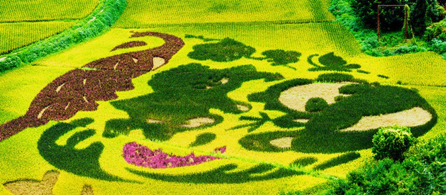 宜良馬蹄灣のカラフルな田んぼアート　雲(yún)南省昆明市