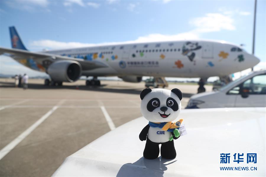 中國(guó)南方航空の中國(guó)國(guó)際輸入博覧會(huì)特別塗裝機(jī)が初飛行