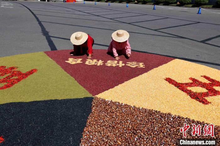 農(nóng)民豊作祭　穀物で描かれた色鮮やかな五穀豊穣の「絵」