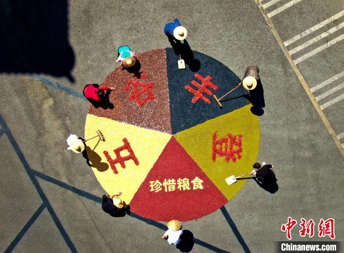 農(nóng)民豊作祭　穀物で描かれた色鮮やかな五穀豊穣の「絵」