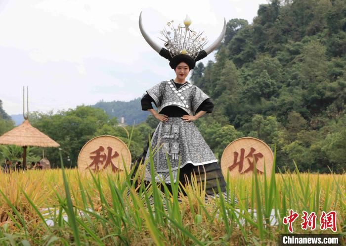 田んぼで奇抜なファッションショー　湖南省張家界