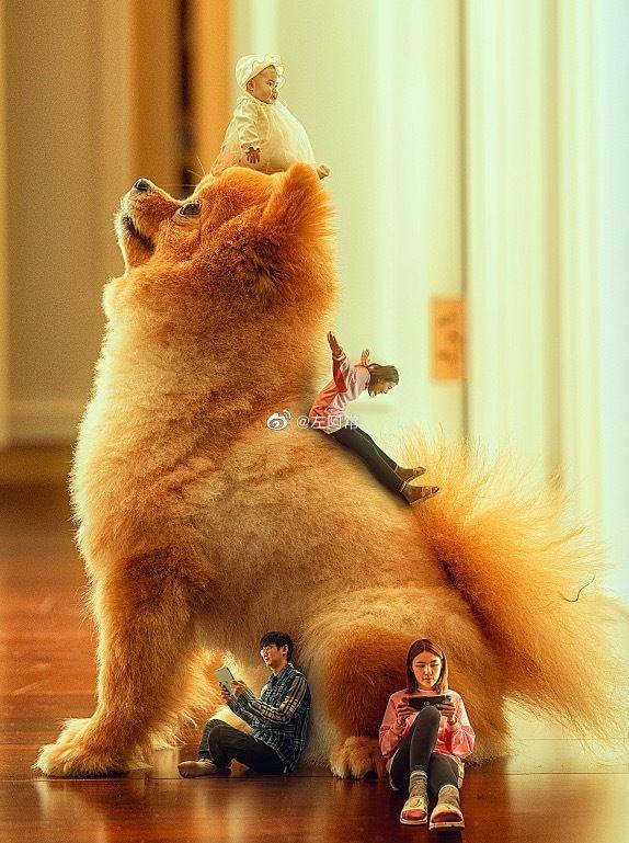 パパすごい！ユニークな特撮親子寫真を撮影する若いカメラマンパパ