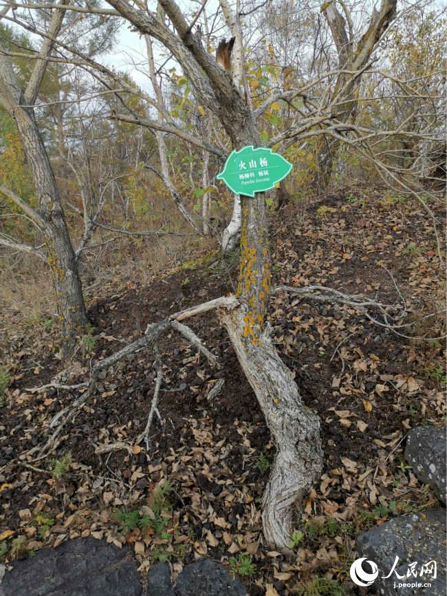 五大連池景勝地は秋のベストシーズン到來　黒竜江省