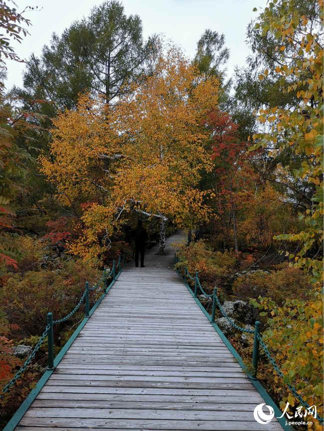 五大連池景勝地は秋のベストシーズン到來　黒竜江省