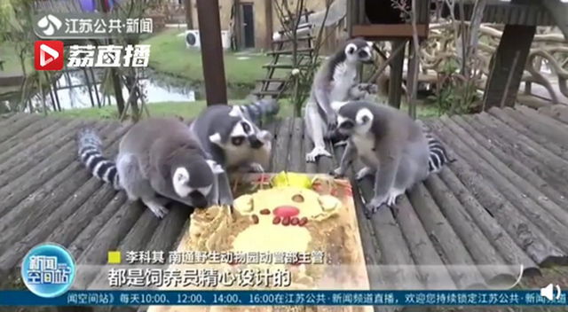 特製月餅を召し上がれ！動物たちが堪能した月餅とは？　江蘇省