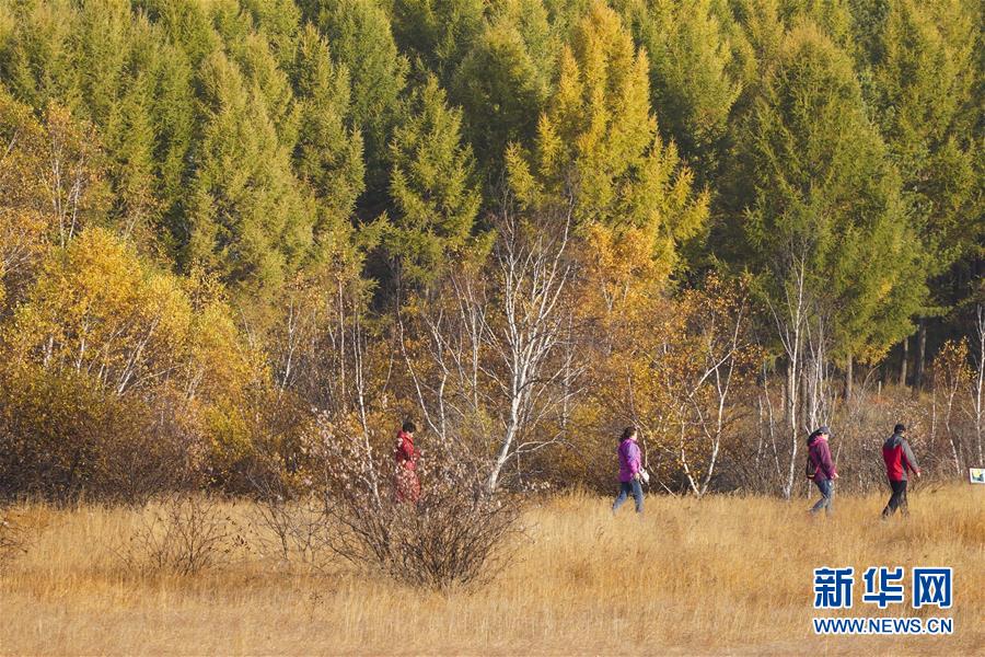 國(guó)家森林公園でしみじみと楽しむ秋　河北省承徳市