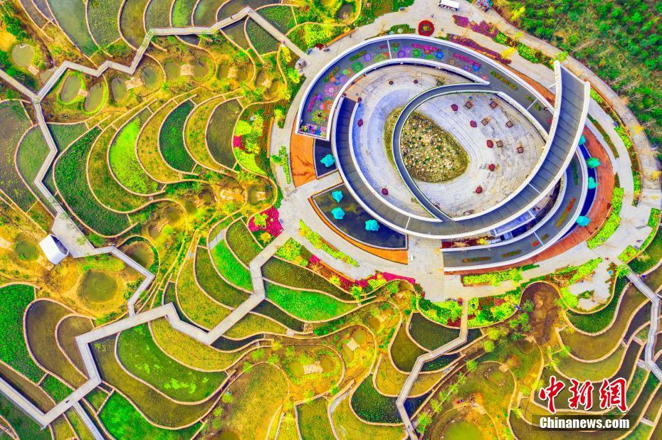 かつてのゴミ捨て場(chǎng)が美しい花園に大変身！　河北省