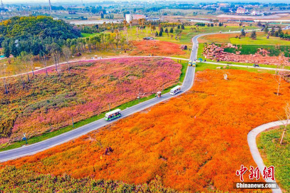 かつてのゴミ捨て場が美しい花園に大変身！　河北省