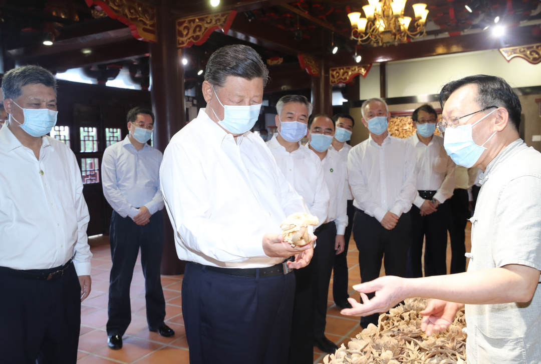 習(xí)近平総書(shū)記が広東省を視察