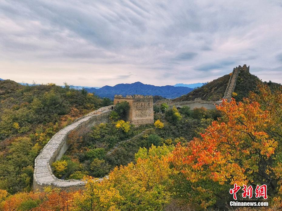 カラフルに色づき秋の深まり感じさせる金山嶺長(zhǎng)城　河北省