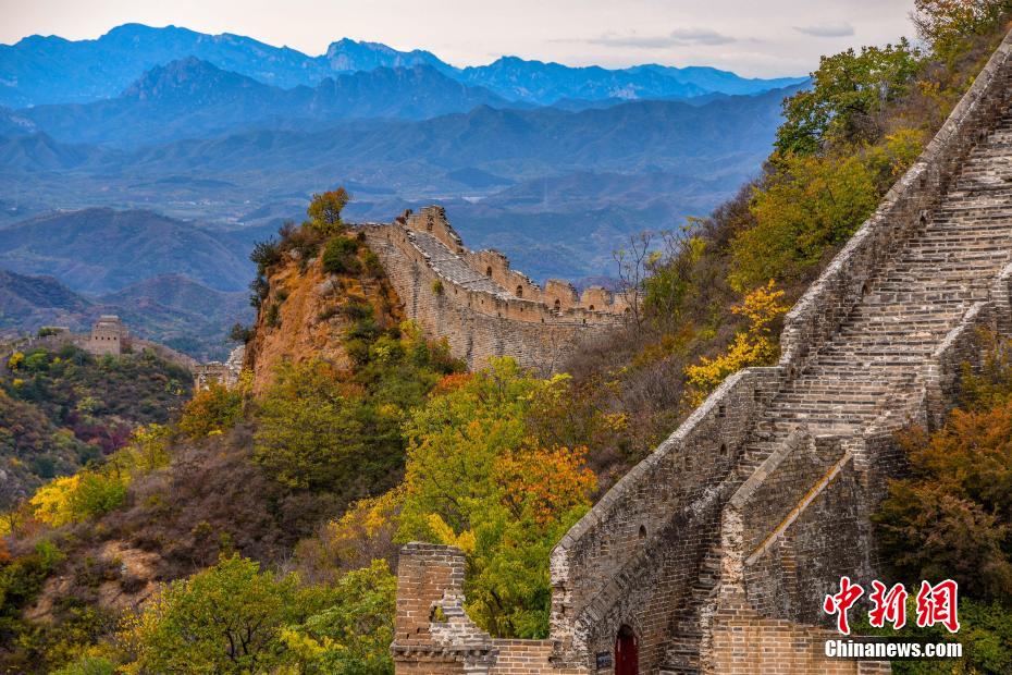 カラフルに色づき秋の深まり感じさせる金山嶺長(zhǎng)城　河北省
