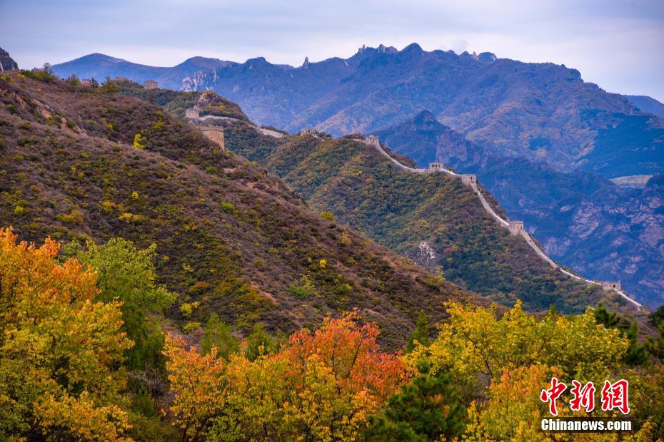 カラフルに色づき秋の深まり感じさせる金山嶺長城　河北省