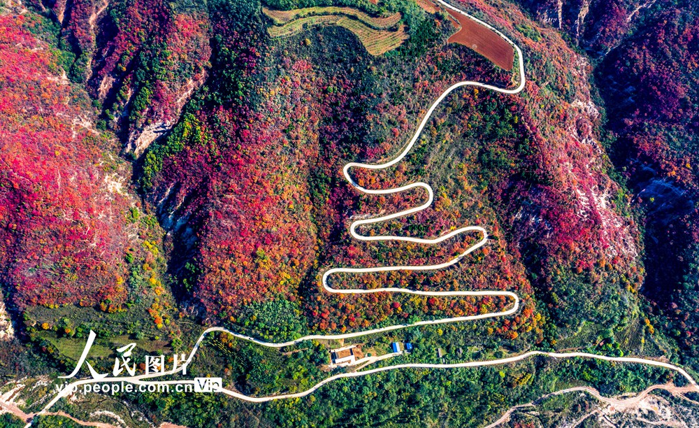 馬泉溝の美しい秋景色（撮影?薛俊/寫真著作権は人民図片が所有のため転載禁止）。