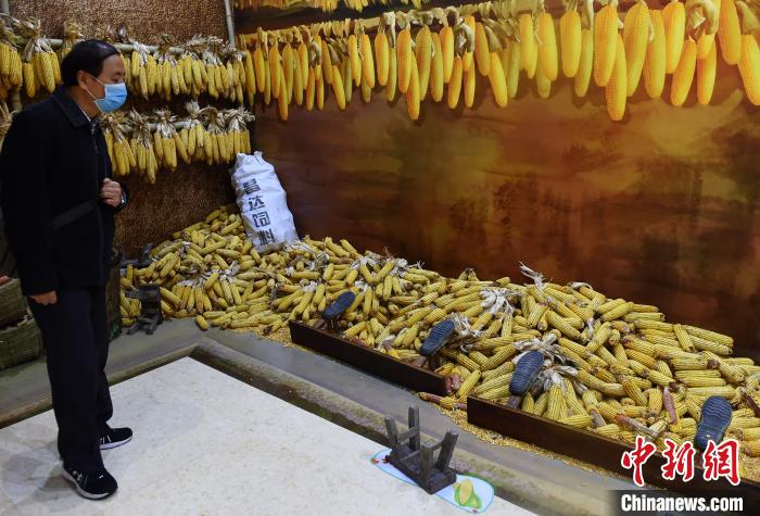 農(nóng)耕社會の暮らしを紹介する「食糧の物語」展　重慶市