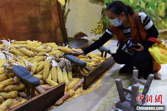 農(nóng)耕社會の暮らしを紹介する「食糧の物語」展　重慶市