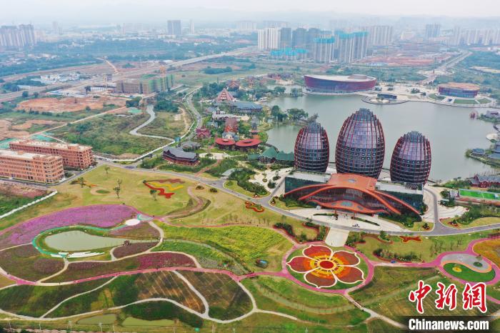 広大な花畑で美しさ競(jìng)い合う秋の花々　江西省南康