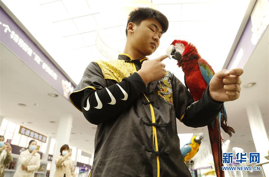 経済発展を後押しする「ペット産業(yè)博覧會(huì)」　河北省南和