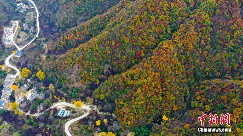 秋色に染まった白雲(yún)山　河南省洛陽(yáng)