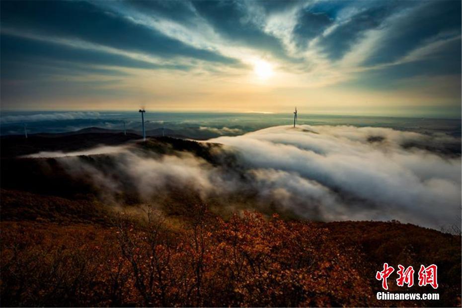 寒さ募るもほっこり秋色広がる中ロ國(guó)境地帯の森林と興凱湖