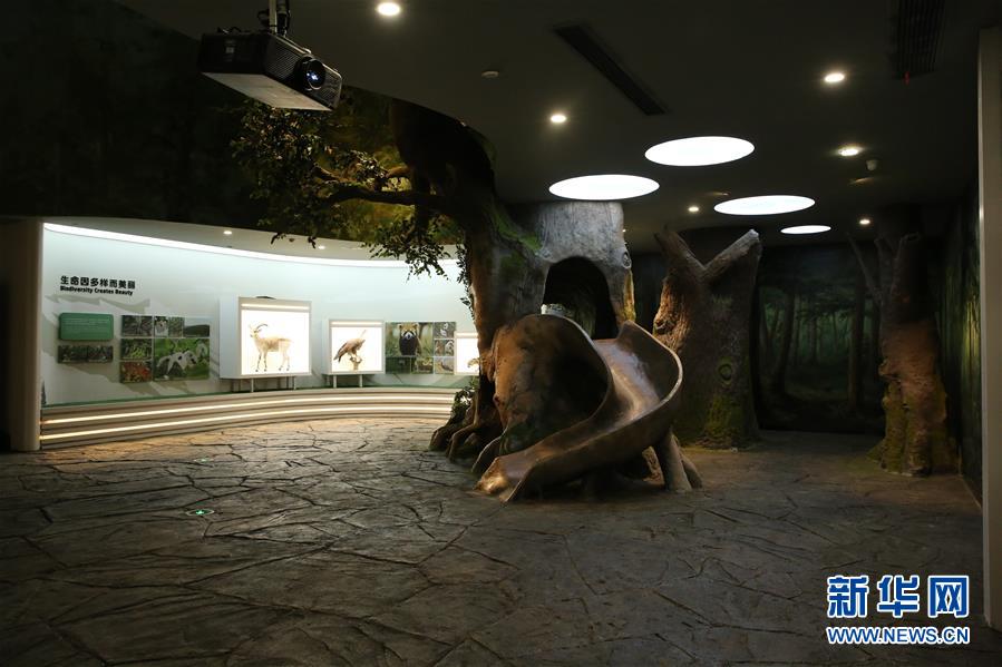 「成都パンダ博物館」の內(nèi)部テスト運(yùn)営スタート