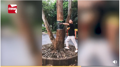 電柱が真ん中で切れてる？背後の風(fēng)景に溶け込ませたビックリ絵畫