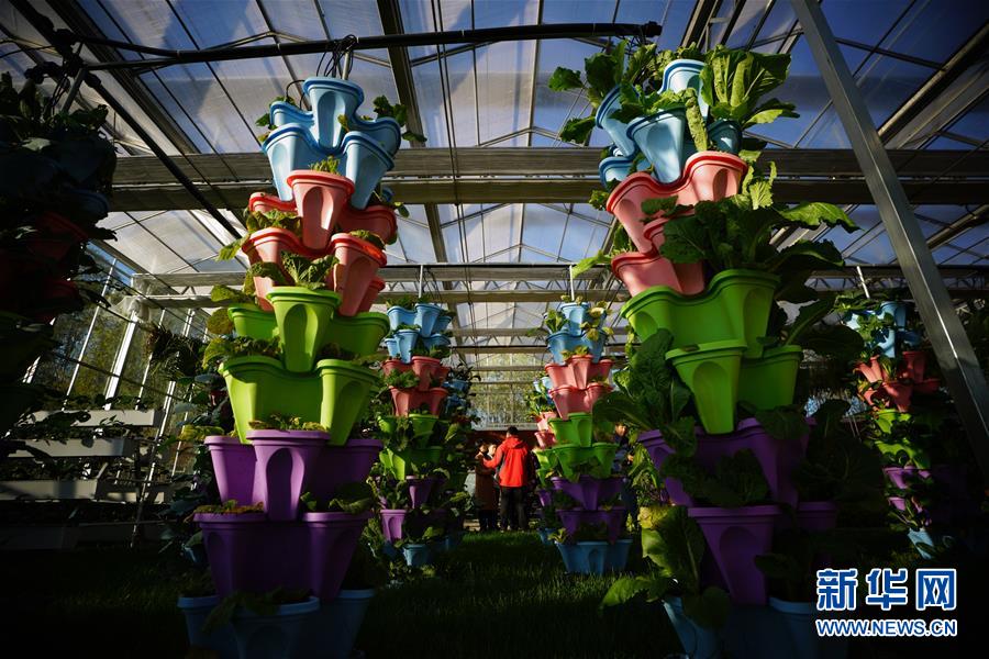 郷村観光の発展を強化し、郷村振興をバックアップ　河北唐山