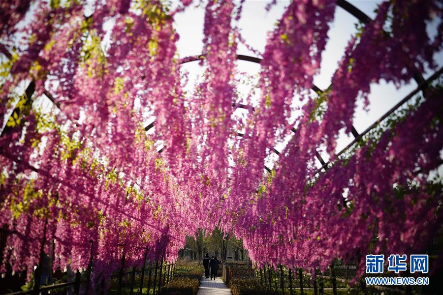郷村観光の発展を強(qiáng)化し、郷村振興をバックアップ　河北唐山
