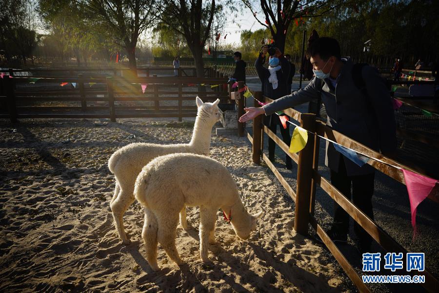 郷村観光の発展を強化し、郷村振興をバックアップ　河北唐山