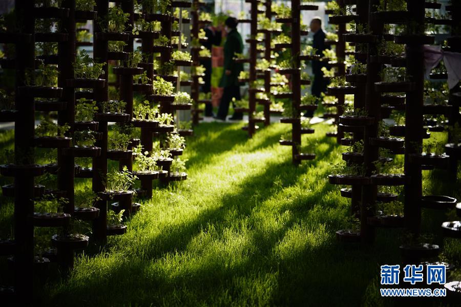 郷村観光の発展を強化し、郷村振興をバックアップ　河北唐山