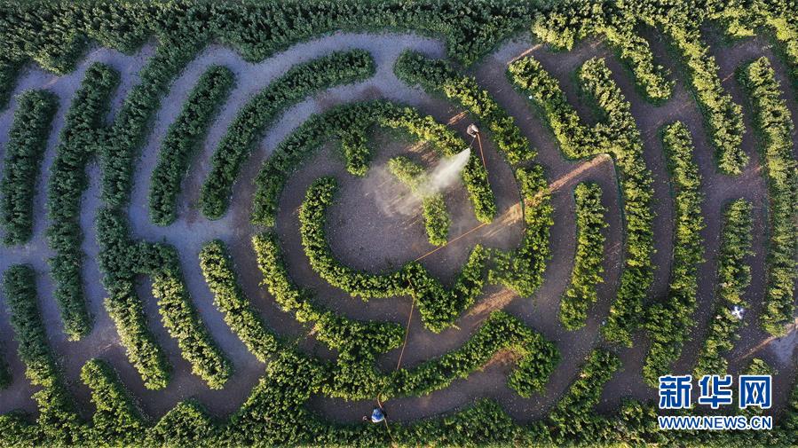 郷村観光の発展を強(qiáng)化し、郷村振興をバックアップ　河北唐山