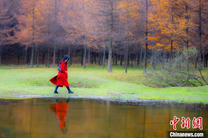 ロマンチックな紅葉シーズン到來　秋色に染まる四川省曽家山