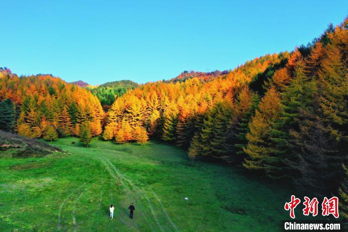 ロマンチックな紅葉シーズン到來(lái)　秋色に染まる四川省曽家山