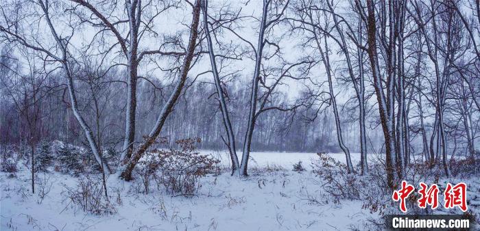 まるで水墨畫のような美しい風(fēng)景が広がる今冬の初雪が観測された五大連池（撮影?郭柏林）。