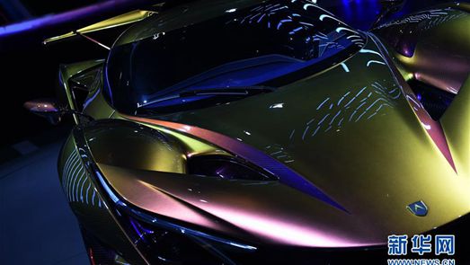 輸入博に世界の自動車が集結　まるで「上海モーターショー」