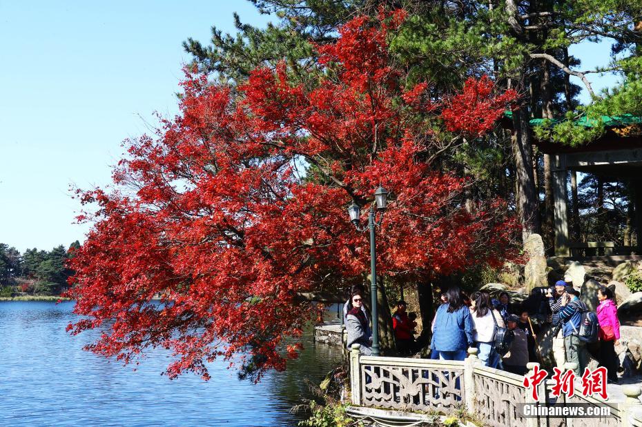 観光客を魅了する秋色に染まった江西省廬山