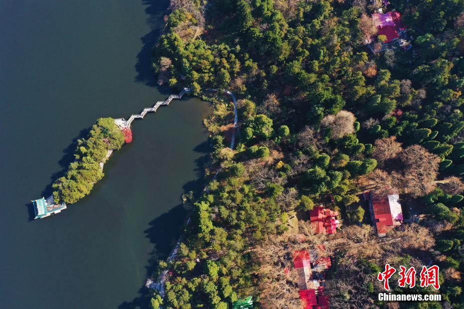 観光客を魅了する秋色に染まった江西省廬山