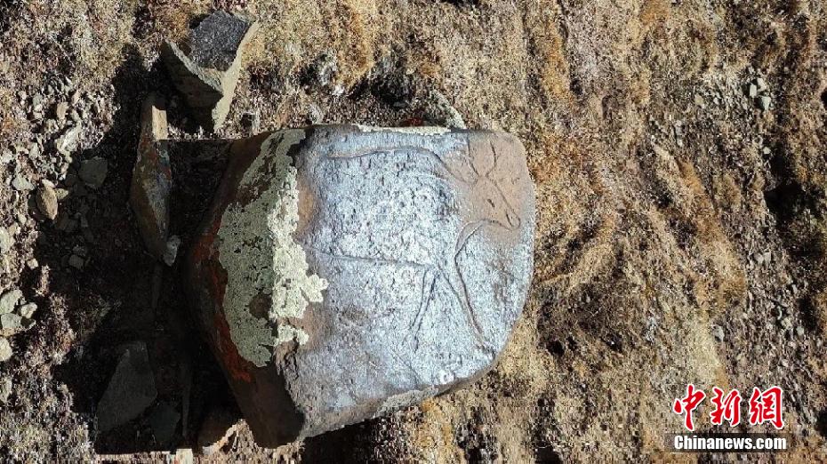 青海省の標高5000メートル地點で古代巖畫を発見