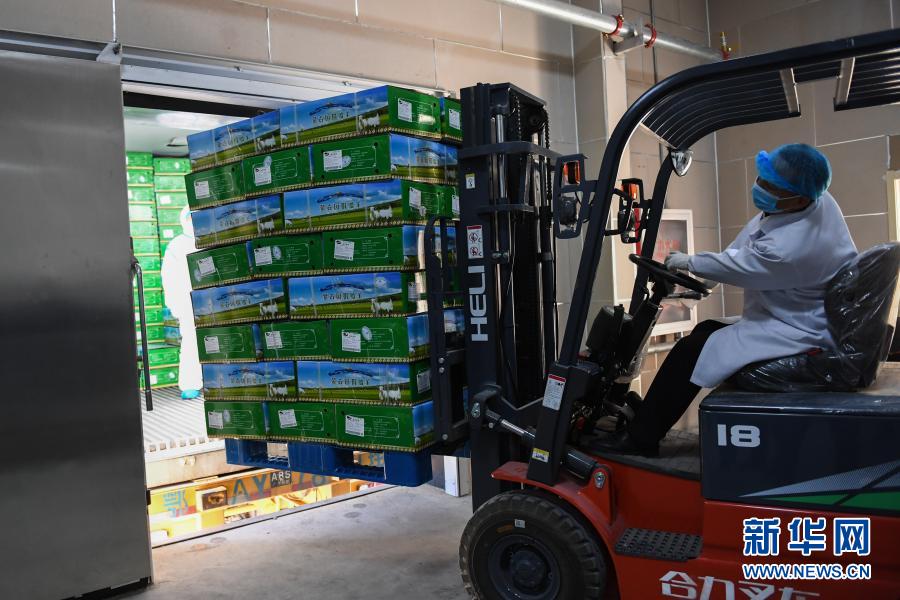 モンゴルから寄贈(zèng)された羊肉第1陣が湖北に向けて出発