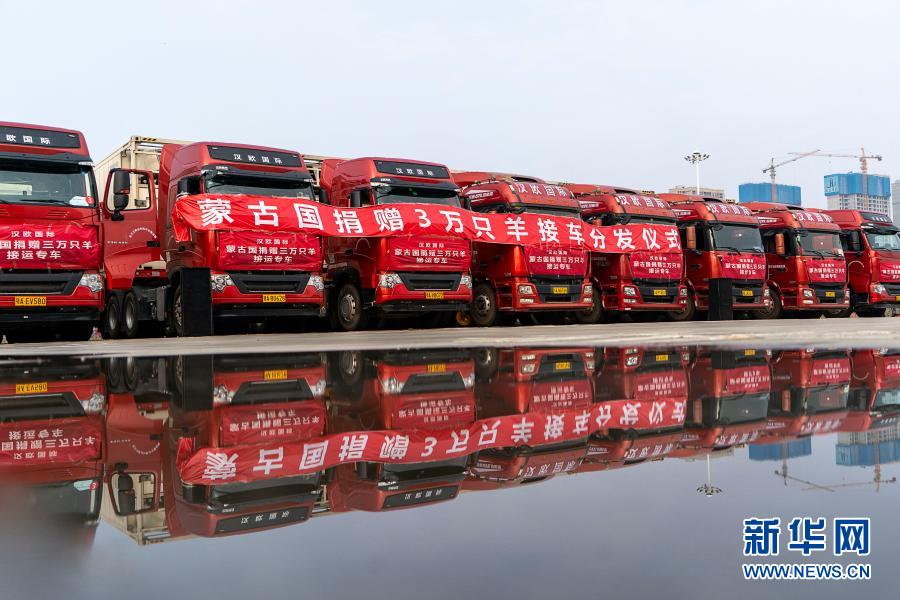 モンゴル寄贈(zèng)の羊1萬(wàn)頭が武漢に到著