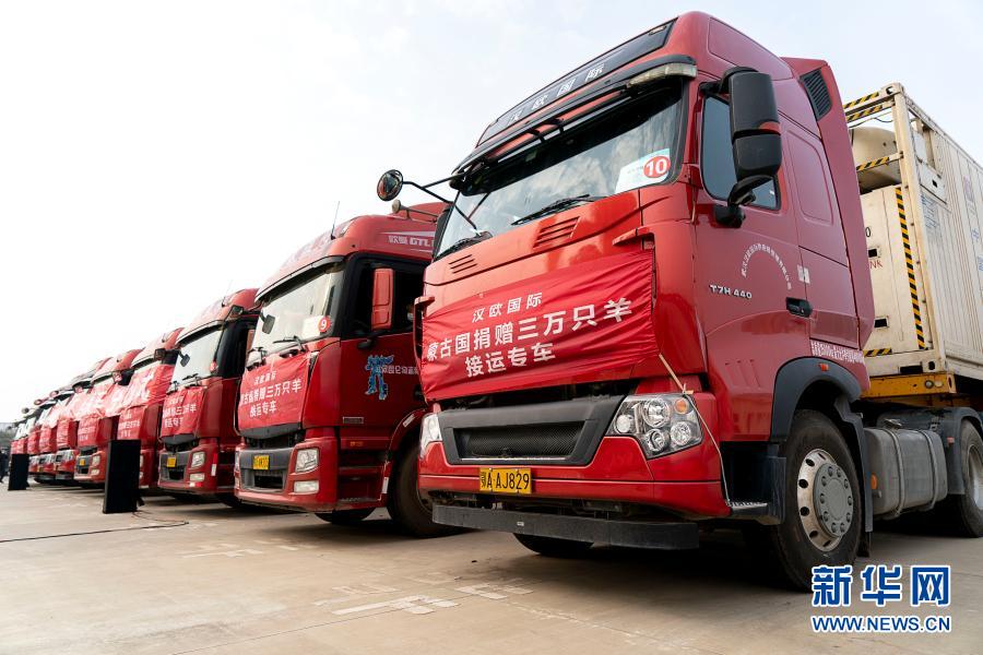 モンゴル寄贈(zèng)の羊1萬頭が武漢に到著