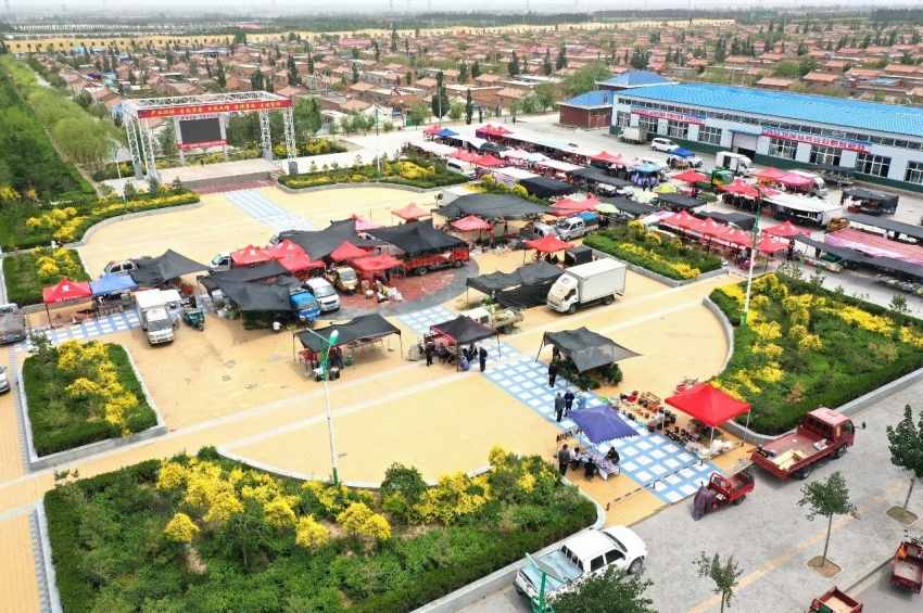 ペアリング支援の模範(fàn)、福建省が支えた寧夏のブドウ産業(yè)