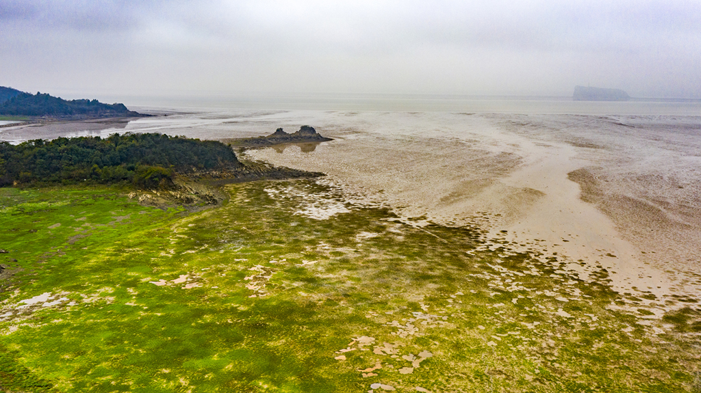 渇水期に突入した鄱陽湖　水位が10メートルを下回る