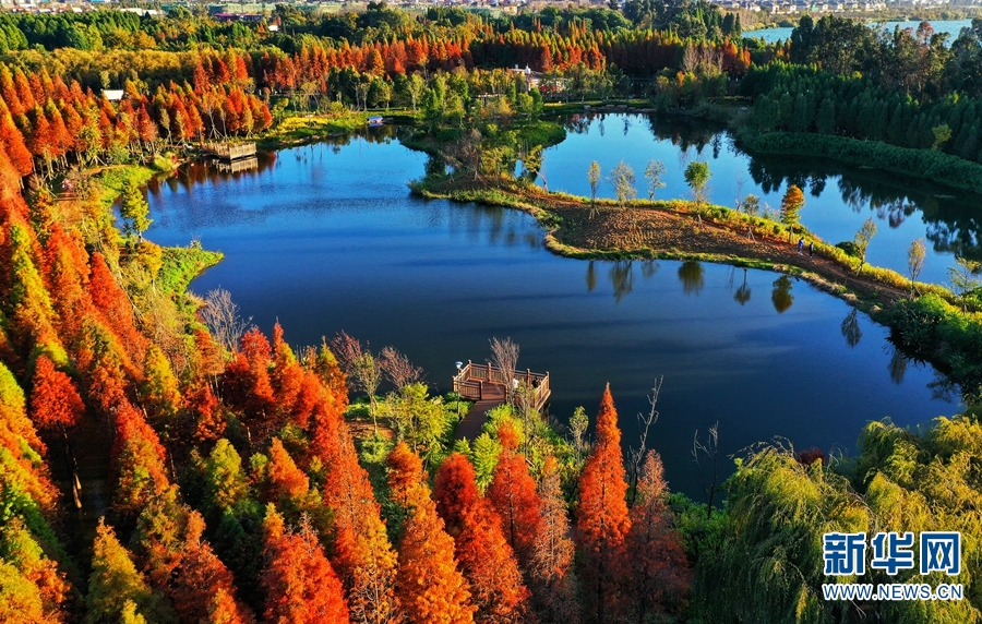 11月20日、上空から撮影した海洪濕地公園の様子（撮影?崔永江）。