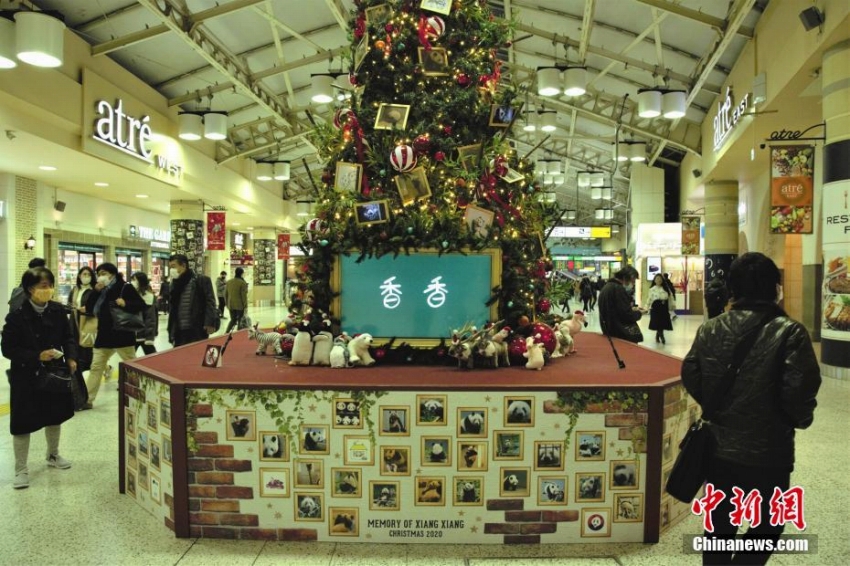 上野動(dòng)物園のパンダ「シャンシャン」お?jiǎng)eれイベント開催　日本