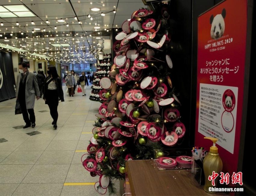 上野動物園のパンダ「シャンシャン」お別れイベント開催　日本