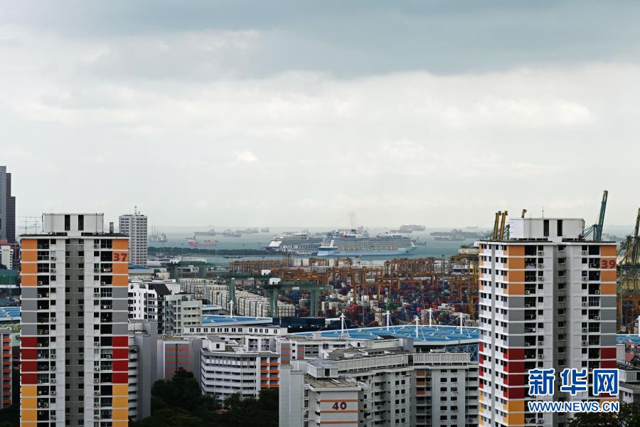 シンガポールの「目的地の無い」クルーズ船、乗客のコロナ感染確認(rèn)で引き返す