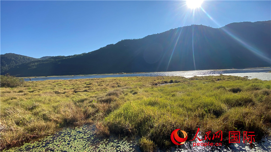 不思議な「水上の草原」風(fēng)景が広がる北海濕地保護(hù)區(qū)　雲(yún)南省