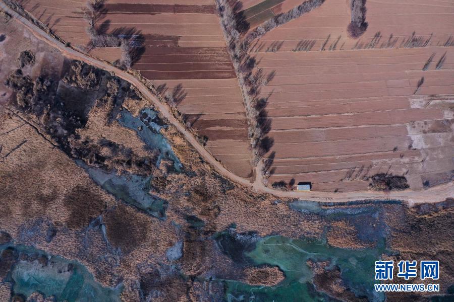 絵に描いたような冬の景色広がる千姿湖濕地公園　青海省