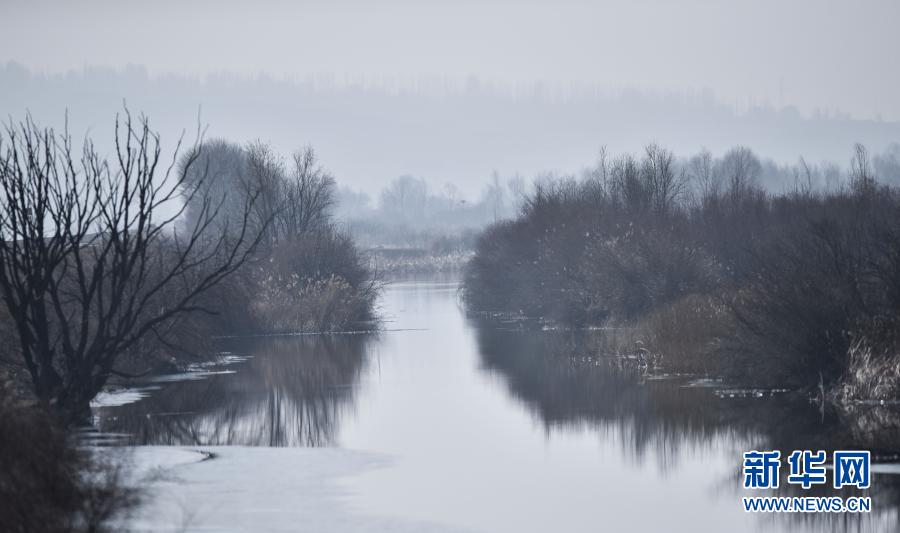絵に描いたような冬の景色広がる千姿湖濕地公園　青海省