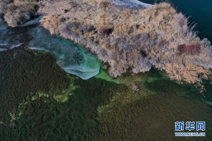 絵に描いたような冬の景色広がる千姿湖濕地公園　青海省